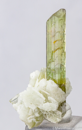 Tourmaline from Himalaya Mine, Mesa Grande, San diego Co., California, USA [db_pics/pics/ST710a.jpg]