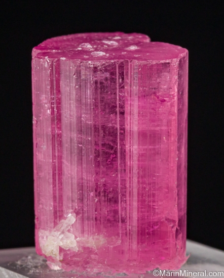 Tourmaline from Kunar Prov., Afghanistan [db_pics/pics/ST722c.jpg]