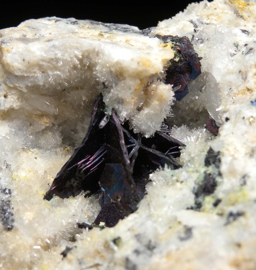 Covellite from Butte, Silverbow Co., Montana, USA [db_pics/pics/ST728d.jpg]