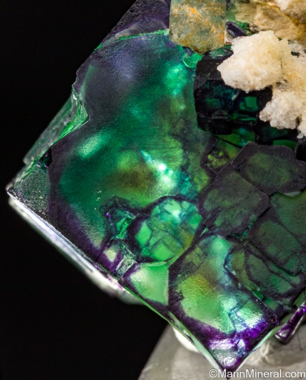 Fluorite with Aquamarine from Erongo Mountains, Namibia [db_pics/pics/ST738e.jpg]
