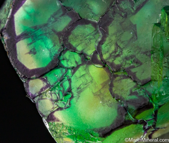 Fluorite with Aquamarine from Erongo Mountains, Namibia [db_pics/pics/ST738f.jpg]