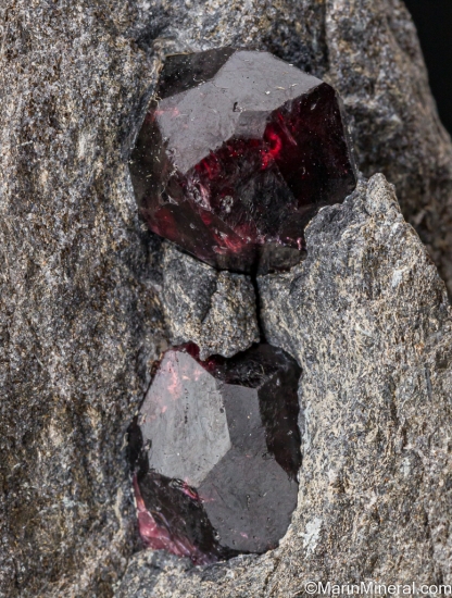 Almandine from Garnet Ledge, Wrangell Island, Alaska, USA [db_pics/pics/ST741d.jpg]