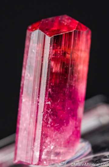Tourmaline from Coronel Murta, Minas Gerais, Brazil [db_pics/pics/ST747b.jpg]