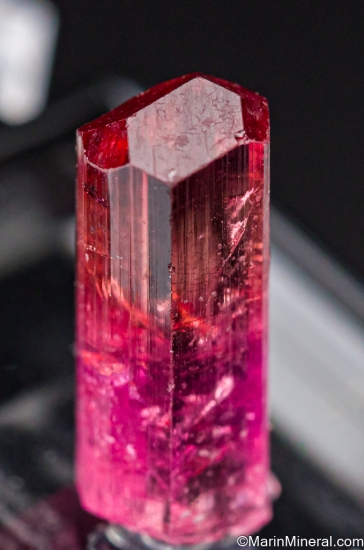 Tourmaline from Coronel Murta, Minas Gerais, Brazil [db_pics/pics/ST748b.jpg]