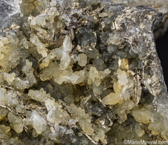 Calaverite with Quartz from Cripple Creek, Teller Co., Colorado, USA [db_pics/pics/ST772c.jpg]