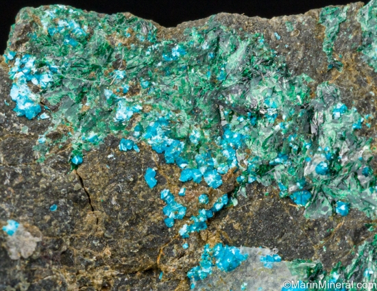 Sampleite from Santa Catalina Mine, Sierra Gorda, Antofagasta, Chila [db_pics/pics/ST807d.jpg]