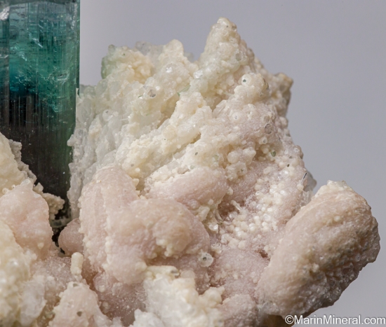 Indicolite on Albite from Kunar Prov, Afghanistan [db_pics/pics/ST817e.jpg]