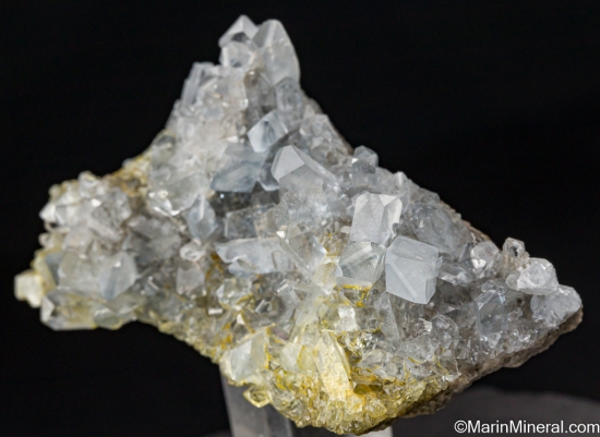Celestite from Maybee Quarry, Monroe Co., Michigan, USA [db_pics/pics/ST892b.jpg]