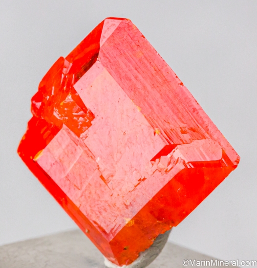 Wulfenite from Red Cloud Mine, La Paz Co., Arizona, USA [db_pics/pics/ST895b.jpg]