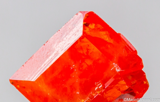 Wulfenite from Red Cloud Mine, La Paz Co., Arizona, USA [db_pics/pics/ST895c.jpg]