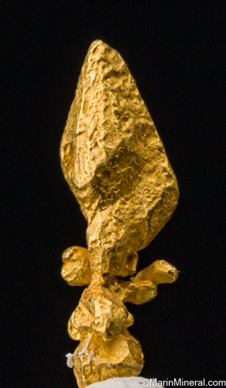 Gold from Zapata claims, IcabarÃº River placers, Santa Elena de Uairen, BolÃ­var, Venezuela [db_pics/pics/SV101c.jpg]