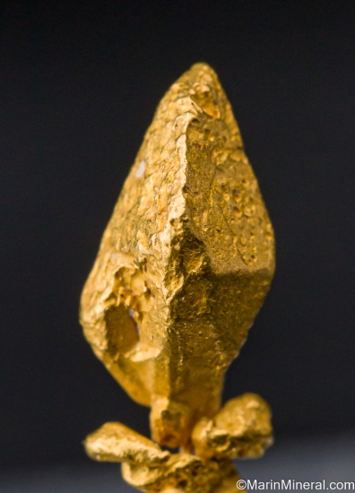 Gold from Zapata claims, IcabarÃº River placers, Santa Elena de Uairen, BolÃ­var, Venezuela [db_pics/pics/SV101d.jpg]