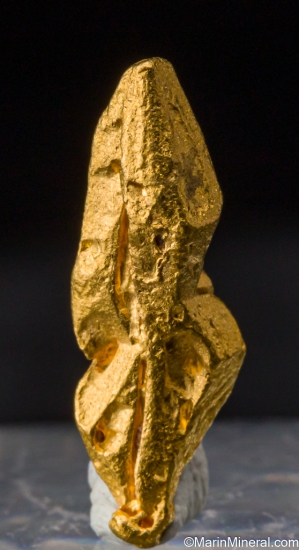 Gold from Zapata claims, IcabarÃº River placers, Santa Elena de Uairen, BolÃ­var, Venezuela [db_pics/pics/SV103a.jpg]