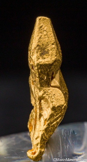 Gold from Zapata claims, IcabarÃº River placers, Santa Elena de Uairen, BolÃ­var, Venezuela [db_pics/pics/SV103b.jpg]