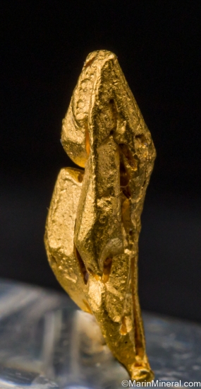 Gold from Zapata claims, IcabarÃº River placers, Santa Elena de Uairen, BolÃ­var, Venezuela [db_pics/pics/SV103c.jpg]