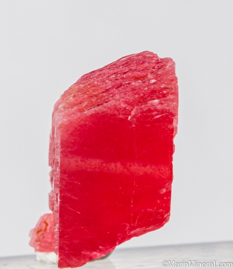 Rhodonite from Morro da Mina mine, Conselheiro Lafaiete, Minas Gerais, Brazil [db_pics/pics/SV108c.jpg]