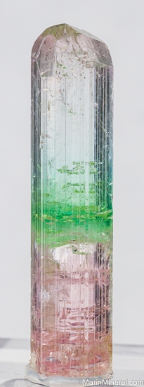 Tourmaline from Nuristan, Afghanistan [db_pics/pics/SV125a.jpg]