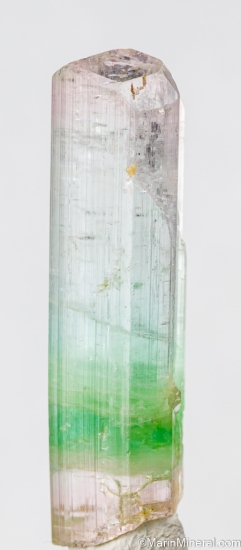 Tourmaline from Nuristan, Afghanistan [db_pics/pics/SV126b.jpg]