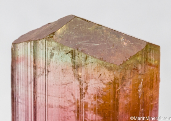 Tourmaline from Hyakule Mine, near Chainpur, Nepal [db_pics/pics/SV128d.jpg]