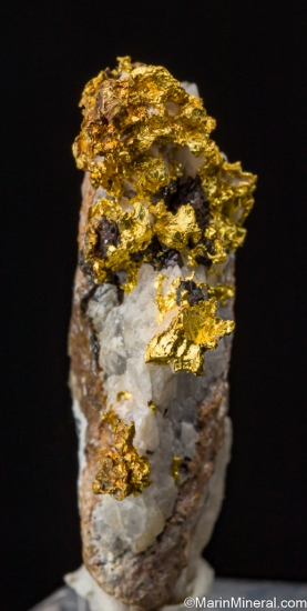 Gold from Reed Gold Mine, Locust, Cabarrus Co., North Carolina, USA [db_pics/pics/SV133b.jpg]