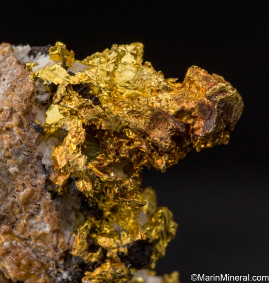 Gold from Reed Gold Mine, Locust, Cabarrus Co., North Carolina, USA [db_pics/pics/SV133e.jpg]