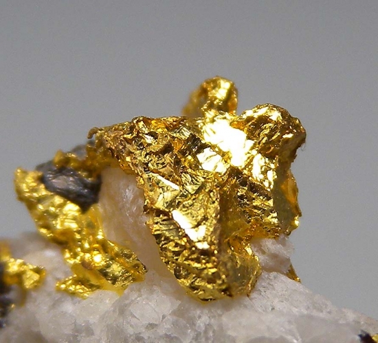 Gold from Reed Gold Mine, Locust, Cabarrus Co., North Carolina, USA [db_pics/pics/SV133f.jpg]