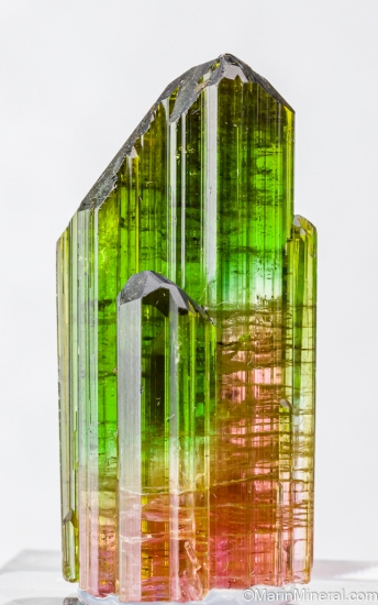 Tourmaline from Veadinho Claims, Marilac, Minas Gerais, Brazil [db_pics/pics/SV137a.jpg]