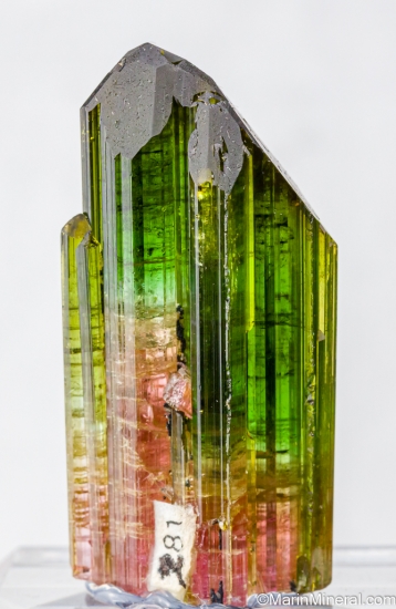 Tourmaline from Veadinho Claims, Marilac, Minas Gerais, Brazil [db_pics/pics/SV137c.jpg]