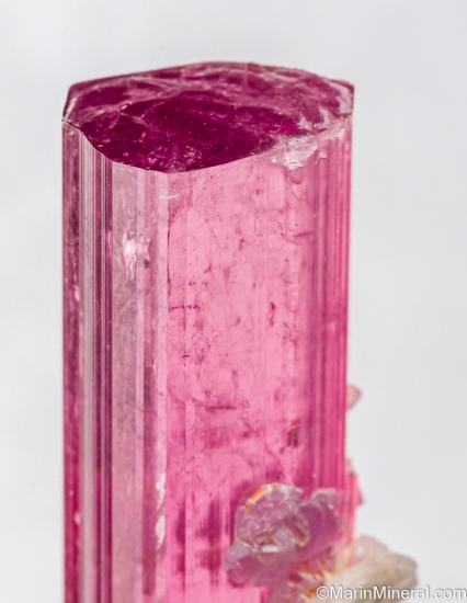 Lepidolite on Tourmaline from Himalaya Mine, Mesa Grande, San Diego Co., California, USA [db_pics/pics/SV138d.jpg]