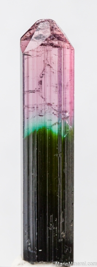 Tourmaline from Xanda Mine, Virgem da Lapa, Minas Gerais, Brazil [db_pics/pics/SV139a.jpg]