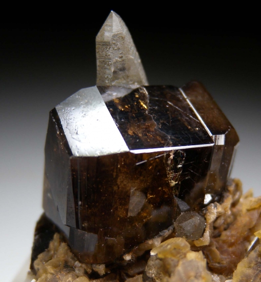 Cassiterite with Quartz from Viloco Mine, La Paz Dept., Bolivia [db_pics/pics/SV140b.jpg]