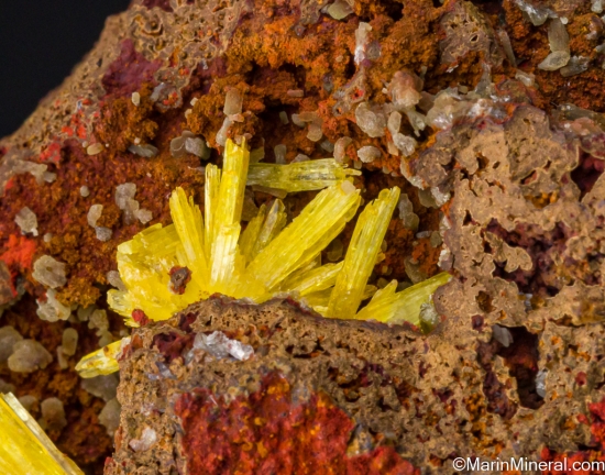 Legrandite from Mina Ojuela, Mapimi, Durango, Mexico [db_pics/pics/SV150d.jpg]