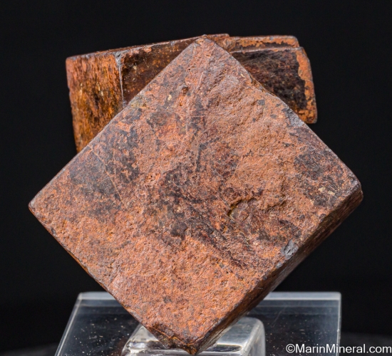 Limonite after Pyrite from Pelican Point, Utah Co., Utah, USA [db_pics/pics/SV157a.jpg]