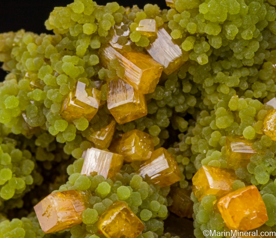 Wulfenite on Mimetite from Mina Ojuela, Mapimi, Durango, Mexico [db_pics/pics/SV187d.jpg]