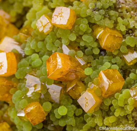 Wulfenite on Mimetite from Mina Ojuela, Mapimi, Durango, Mexico [db_pics/pics/SV187e.jpg]