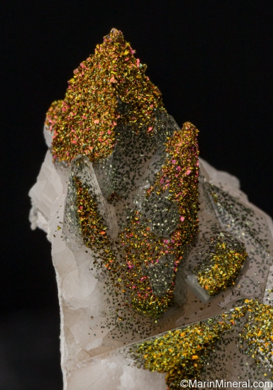 Chalcopyrite on Calcite from Fengjiashan Mine, Daye Co., Huangshi Pref., Hubei, China [db_pics/pics/SV235c.jpg]