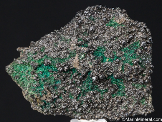 Heterogenite with Chrysocolla from L'Etoile du Congo Mine, Katanga, DR Congo [db_pics/pics/SV250a.jpg]