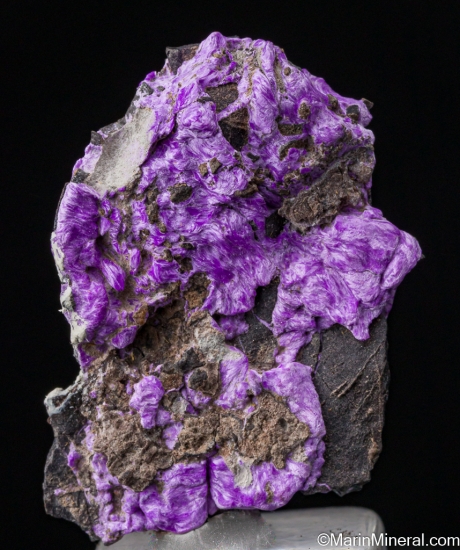 Sugilite (fibrous) from N'Chwanning Mine, Kuruman, South Africa [db_pics/pics/SV251a.jpg]