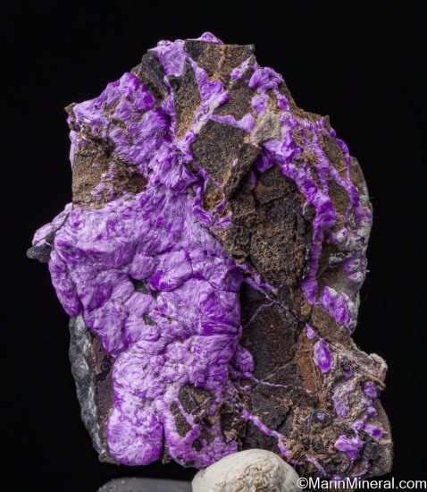 Sugilite (fibrous) from N'Chwanning Mine, Kuruman, South Africa [db_pics/pics/SV251c.jpg]