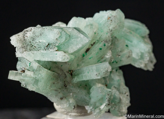 Barite with Malachite from Shangulowe Miine, Katanga, DR Congo [db_pics/pics/SV254c.jpg]