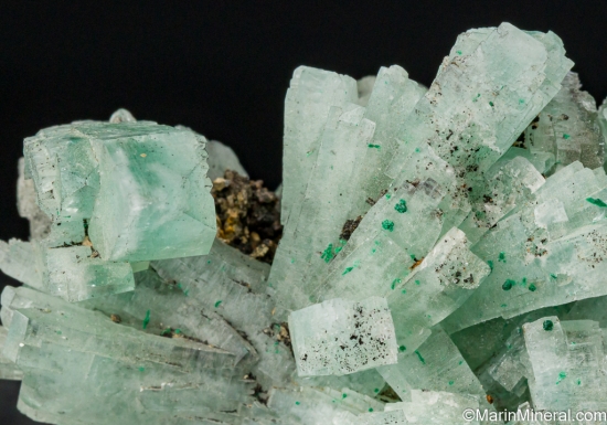 Barite with Malachite from Shangulowe Miine, Katanga, DR Congo [db_pics/pics/SV254e.jpg]