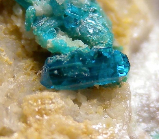 Caledonite, Cerussite, Brochantite from Rowley Mine, Theba Co., Arizona, USA [db_pics/pics/SV289d.jpg]