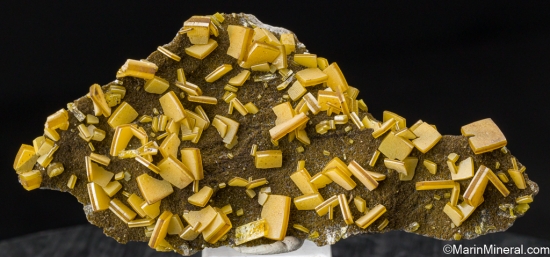 Wulfenite from Mina Oujela, Mapimi, Durango, Mexico [db_pics/pics/SV339a.jpg]