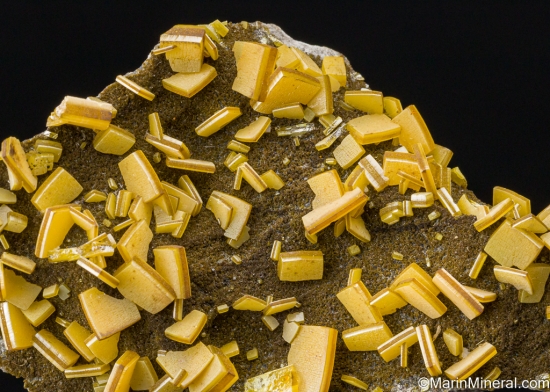 Wulfenite from Mina Oujela, Mapimi, Durango, Mexico [db_pics/pics/SV339b.jpg]
