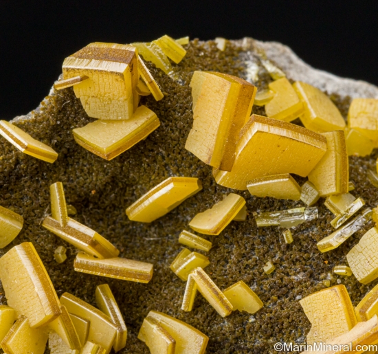 Wulfenite from Mina Oujela, Mapimi, Durango, Mexico [db_pics/pics/SV339d.jpg]