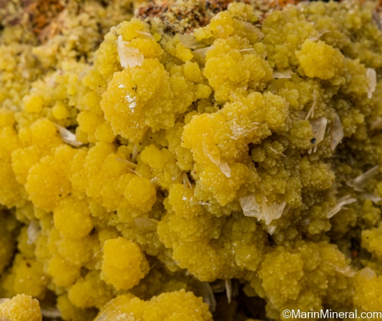 Mimetite from Mina Ojuela, Mapimi, Durango, Mexico [db_pics/pics/SV341b.jpg]