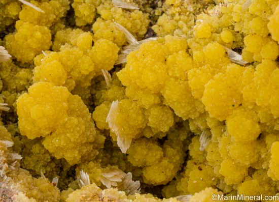 Mimetite from Mina Ojuela, Mapimi, Durango, Mexico [db_pics/pics/SV341c.jpg]