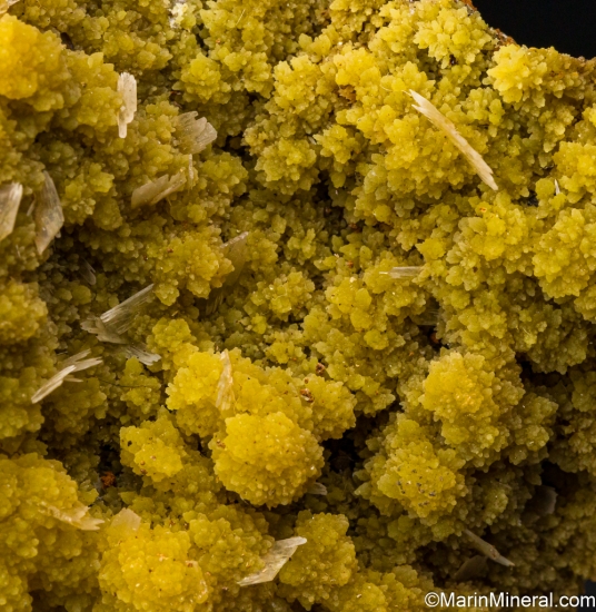 Mimetite from Mina Ojuela, Mapimi, Durango, Mexico [db_pics/pics/SV341d.jpg]