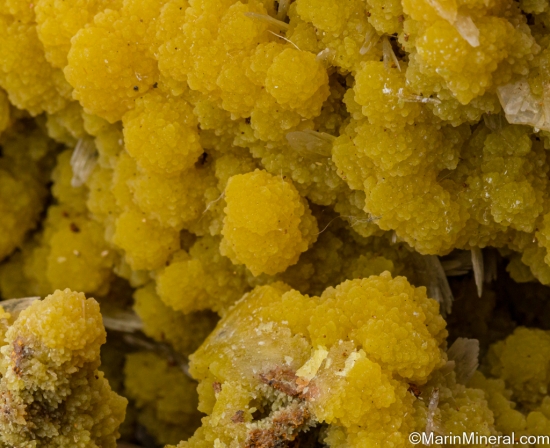Mimetite from Mina Ojuela, Mapimi, Durango, Mexico [db_pics/pics/SV341e.jpg]