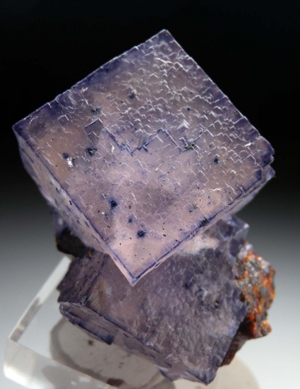 Fluorite on Sphalerite from Gordonsville Mine, Smith Co., Tennessee, USA [db_pics/pics/SV342c.jpg]